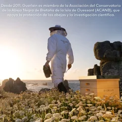 Abeille Royale Crema de Día Honey Treatment Estuche