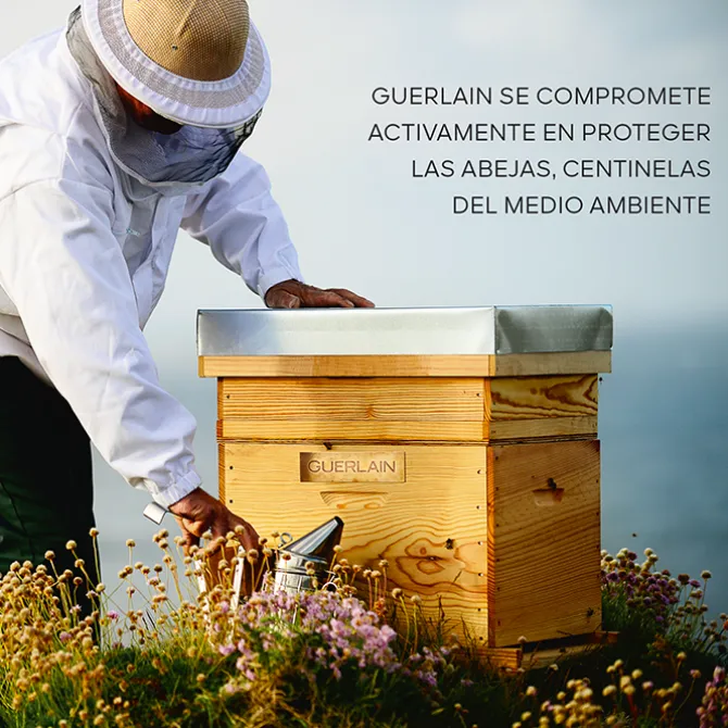 Abeille Royale Daily Repair Serum