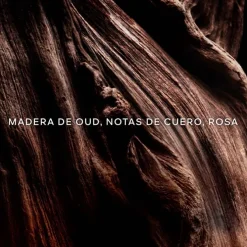 Absolus Allegoria Oud Essentiel