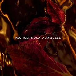 Absolus Allegoria Patchouli Ardent