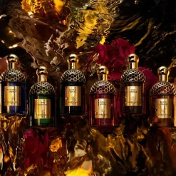 Absolus Allegoria Rose Amira