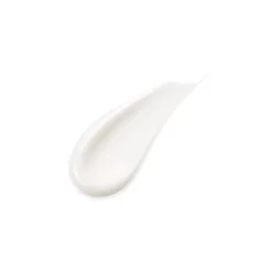 Absolute Silk Illuminative Cream