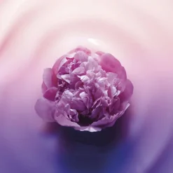 Age Perfect Golden Age Crema Noche Re-Estimulante