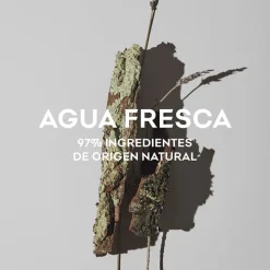 Agua Fresca