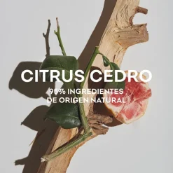 Agua Fresca Citrus Cedro