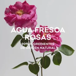 Agua Fresca de Rosas