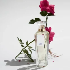 Agua Fresca de Rosas