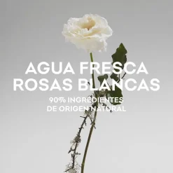 Agua Fresca de Rosas Blancas