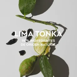 Agua Fresca Lima Tonka