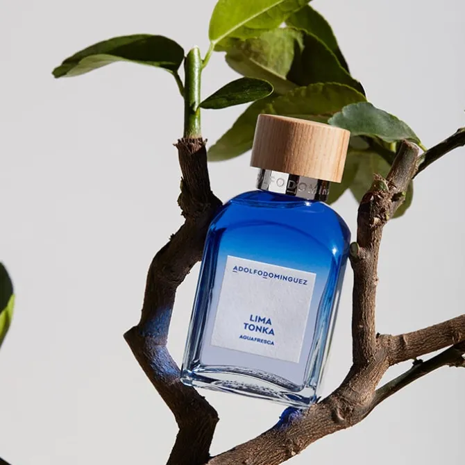 Agua Fresca Lima Tonka