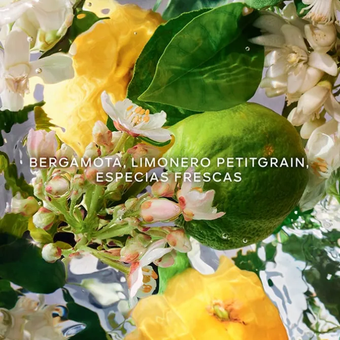 Aqua Allegoria Bergamota Calabria