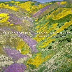 Aqua Allegoria Florabloom