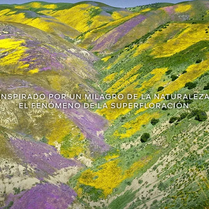 Aqua Allegoria Florabloom