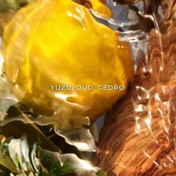 Aqua Allegoria Forte Oud Yuzu