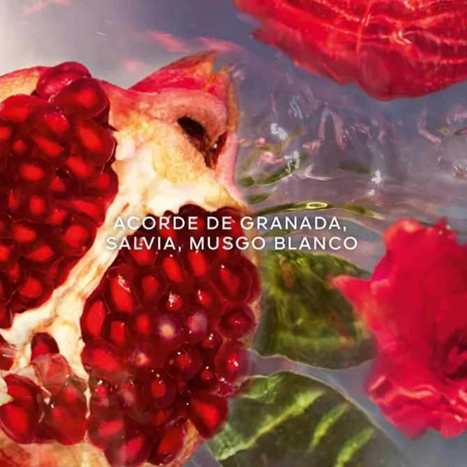 Aqua Allegoria Granada Salvia