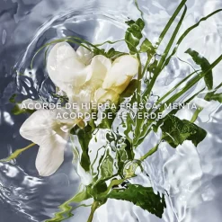 Aqua Allegoria Herba Fresca