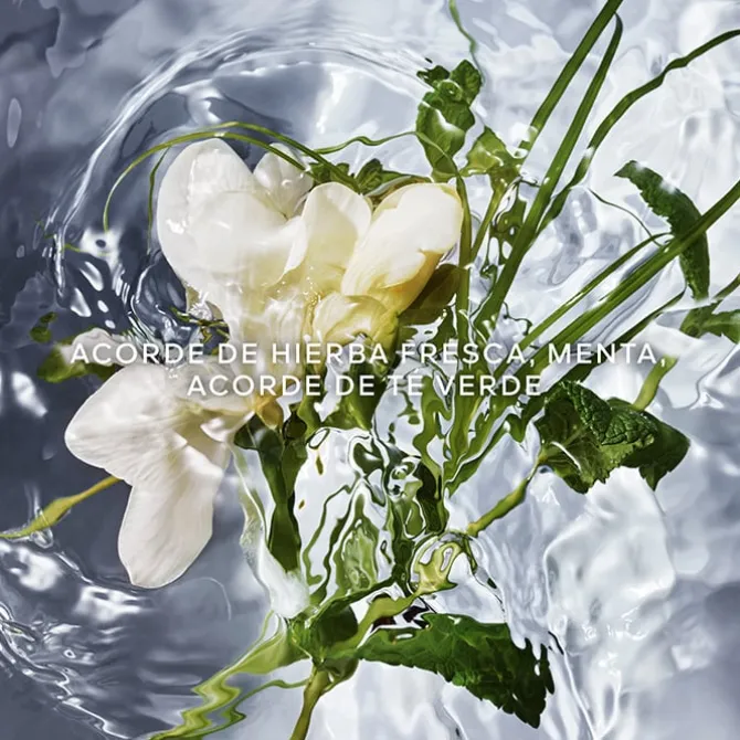 Aqua Allegoria Herba Fresca