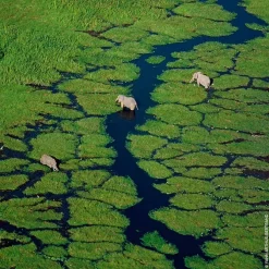 Aqua Allegoria Herba Fresca