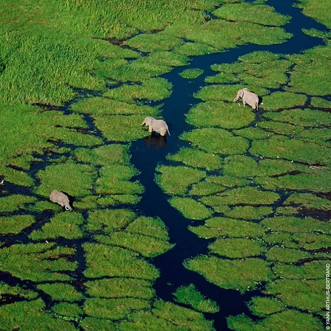 Aqua Allegoria Herba Fresca