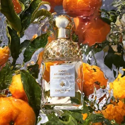 Aqua Allegoria Mandarine Basilic