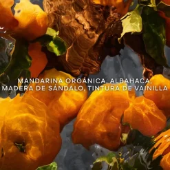 Aqua Allegoria Mandarine Basilic Forte