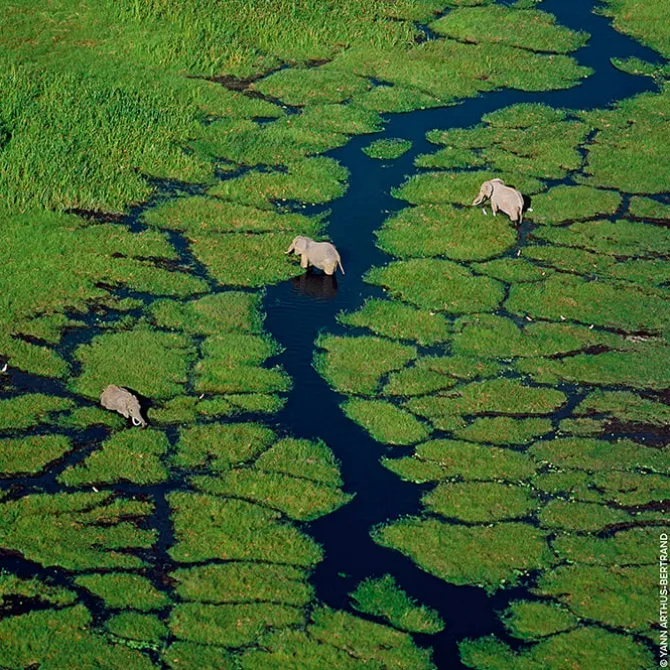 Aqua Allegoria Nerolia Vetiver