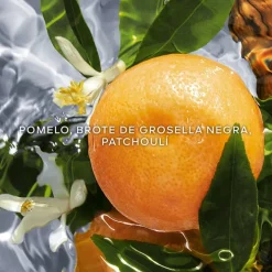 Aqua Allegoria Pamplelune