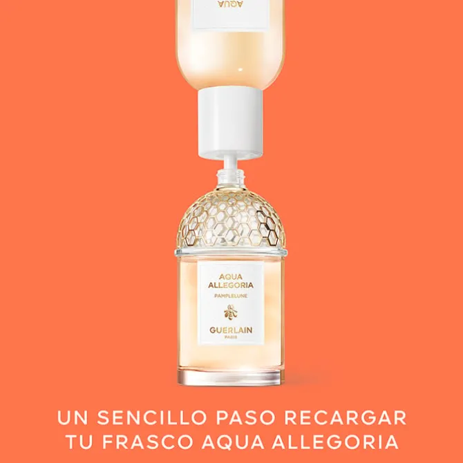 Aqua Allegoria Pamplelune