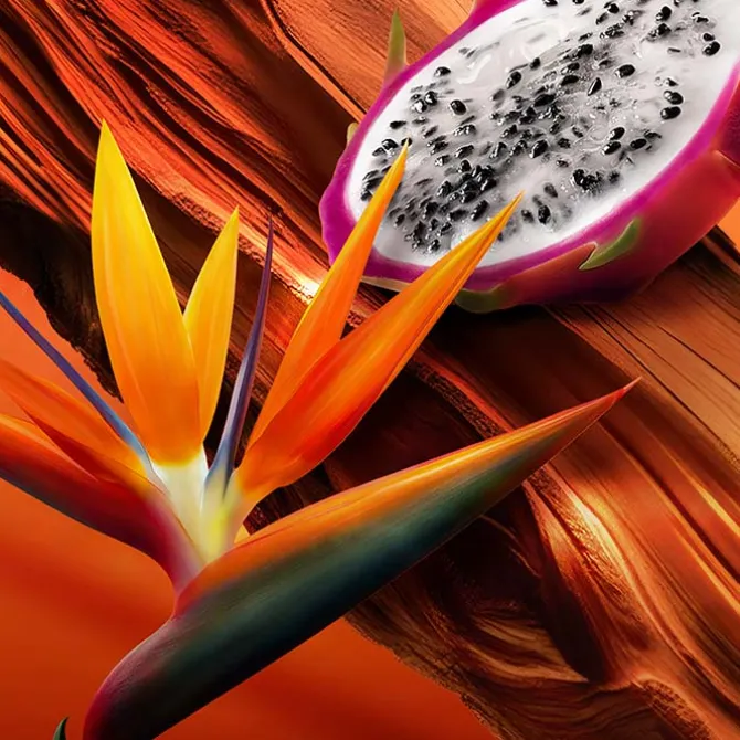 BALI PARADISE "Edición Limitada"