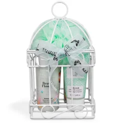Beauty Flowers Cage Set