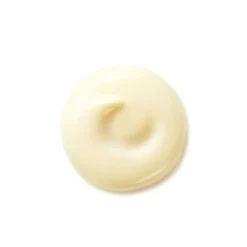 Benefiance Wrinkle Smoothing Day Cream SPF25