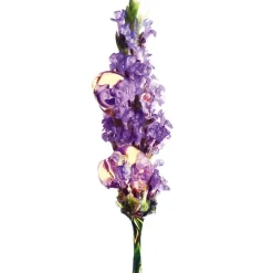 Bio Crema de Día Anti-Edad