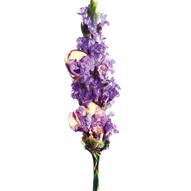 Bio Crema de Día Anti-Edad