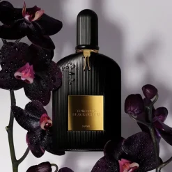 Black Orchid