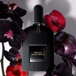 Black Orchid EDT