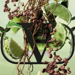 BORN IN ROMA UOMO GREEN STRAVAGANZA