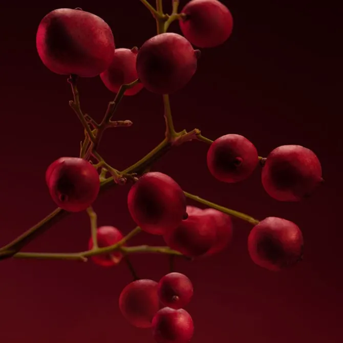 BOSS THE SCENT ELIXIR For Her