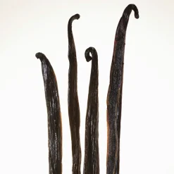 BURBERRY GODDESS INTENSE