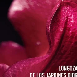 CAPTURE TOTALE C.E.L.L ENERGY Rich Creme