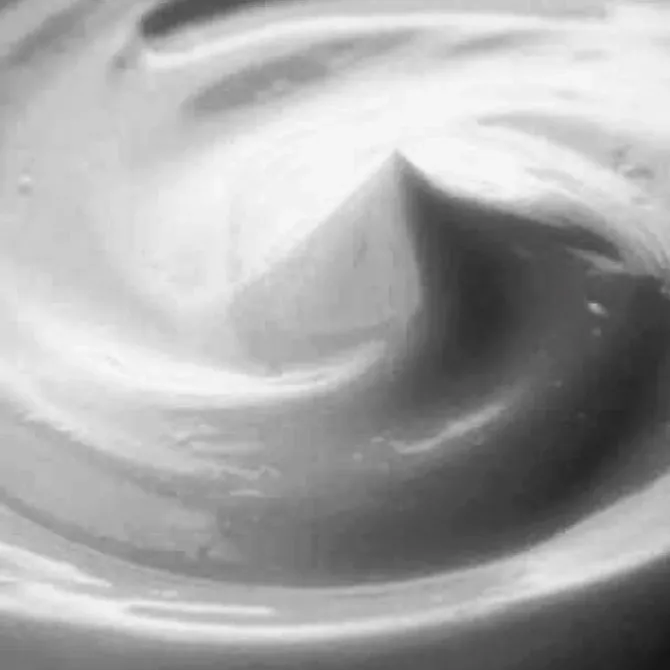 Champú Carbón Activo