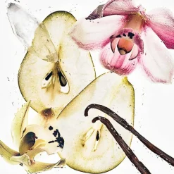 CK Nude Vanilla Hair & Body Mist