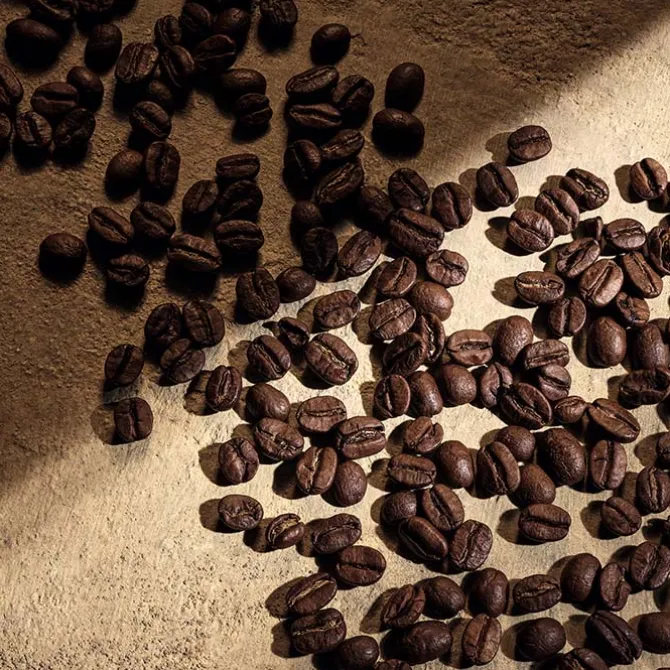 DEVOTION For Men Parfum