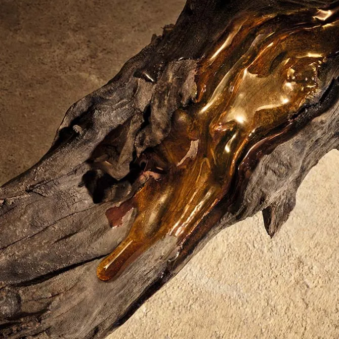 DEVOTION For Men Parfum