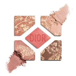 DIORSHOW 5 COULEURS EDICIÓN LIMITADA