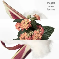 Eau de Rhubarbe Écarlate