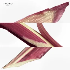Eau de Rhubarbe Écarlate