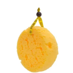 Esponja de Espuma Coffee o Clock