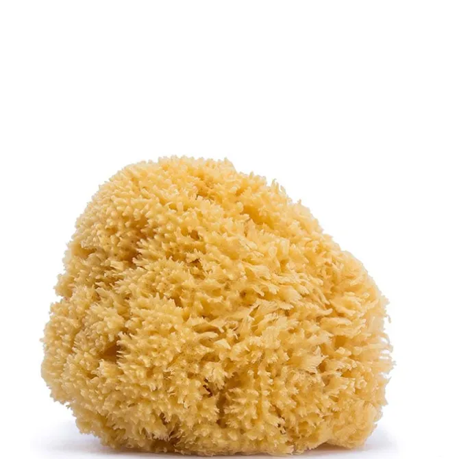 Esponja Natural Bebé