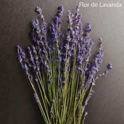 ETERNITY AROMATIC ESSENCE