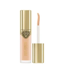 Everlast Concealer